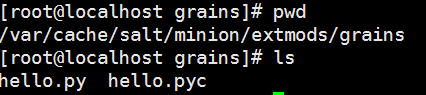 saltstack grains与pillar使用和订制_ grains_07